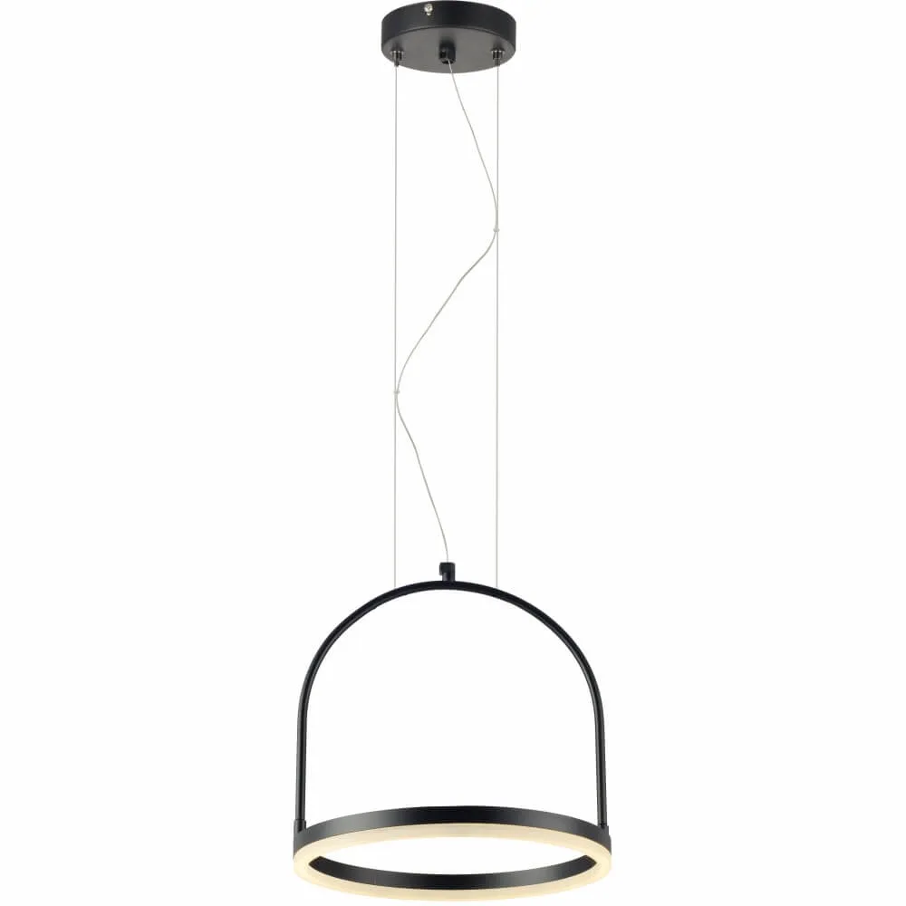 LED-PEND-CAGE-PF-300MM-ALUM-AM3000K-12W-BIV-960