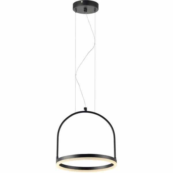 LED-PEND-CAGE-PF-300MM-ALUM-AM3000K-12W-BIV-960